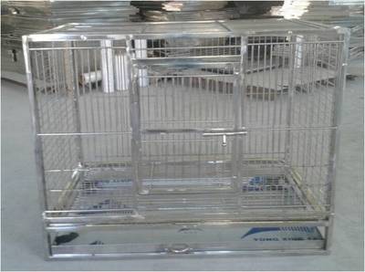 不銹鋼鳥籠與繁殖籠 您家鸚鵡的安全港灣