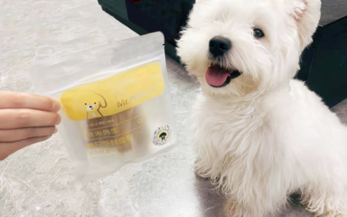 黑米先生 寵物行業創新品牌的用戶體驗與廣告設計啟示